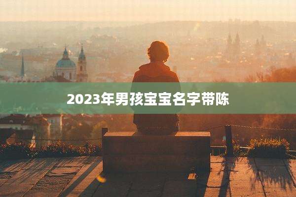 2023年男孩宝宝名字带陈