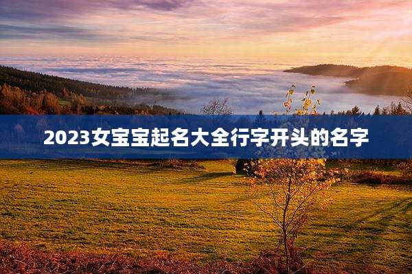 2023女宝宝起名大全行字开头的名字