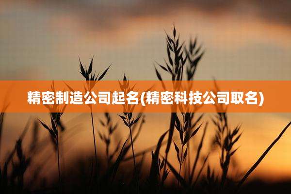 精密制造公司起名(精密科技公司取名)