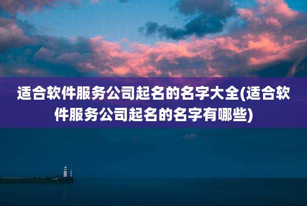 适合软件服务公司起名的名字大全(适合软件服务公司起名的名字有哪些)