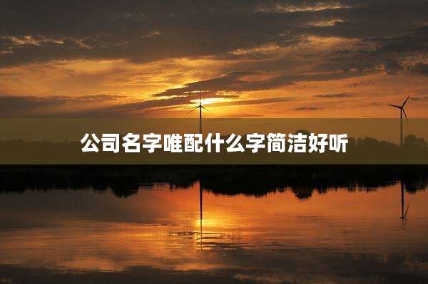 公司名字唯配什么字简洁好听