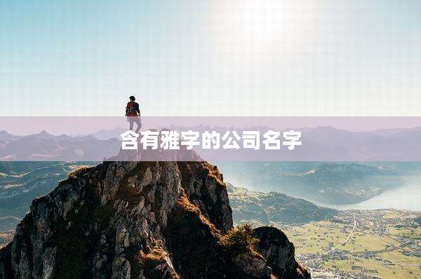 含有雅字的公司名字