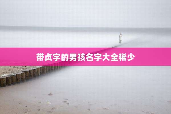 带贞字的男孩名字大全稀少
