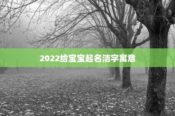 2022给宝宝起名洁字寓意
