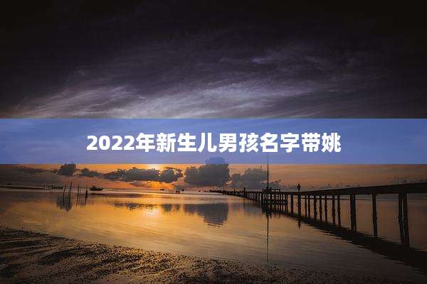 2022年新生儿男孩名字带姚