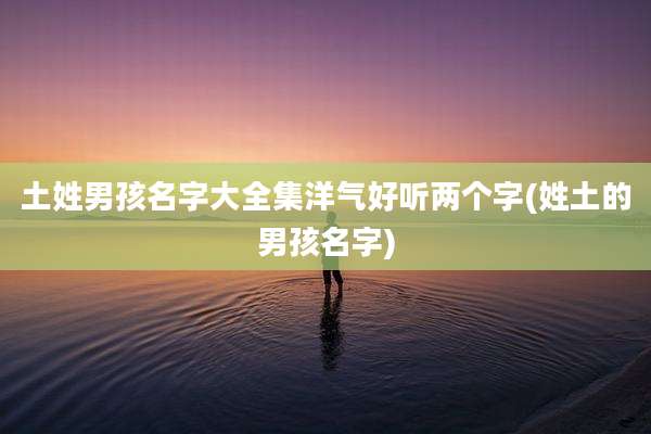 土姓男孩名字大全集洋气好听两个字(姓土的男孩名字)