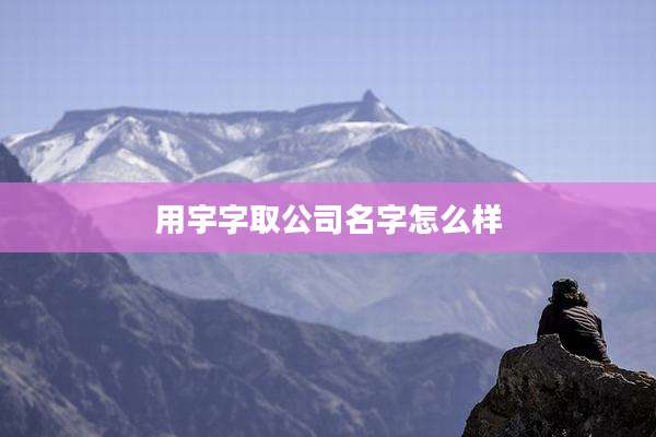 用宇字取公司名字怎么样
