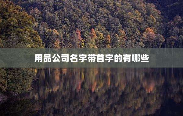 用品公司名字带首字的有哪些