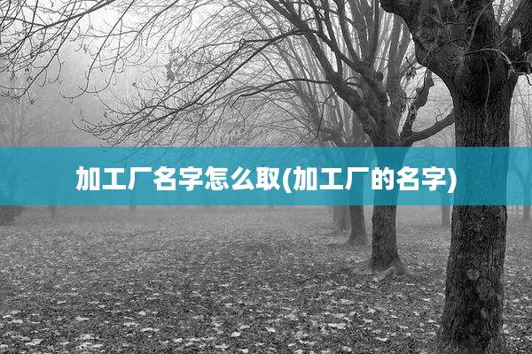 加工厂名字怎么取(加工厂的名字)