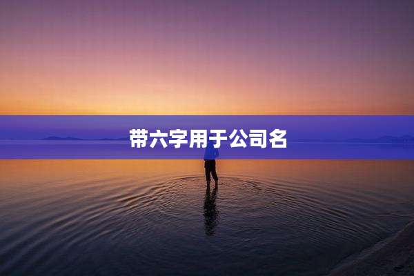 带六字用于公司名