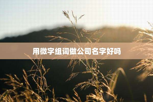 用微字组词做公司名字好吗