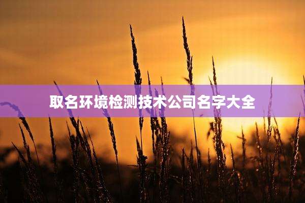 取名环境检测技术公司名字大全