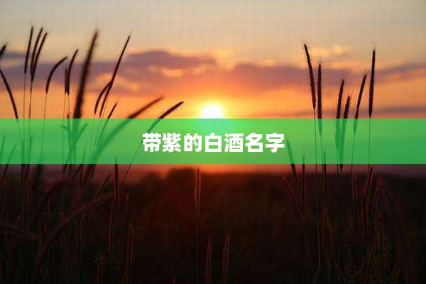 带紫的白酒名字
