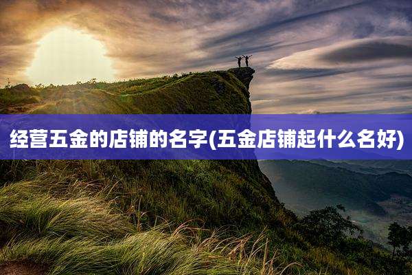 经营五金的店铺的名字(五金店铺起什么名好)
