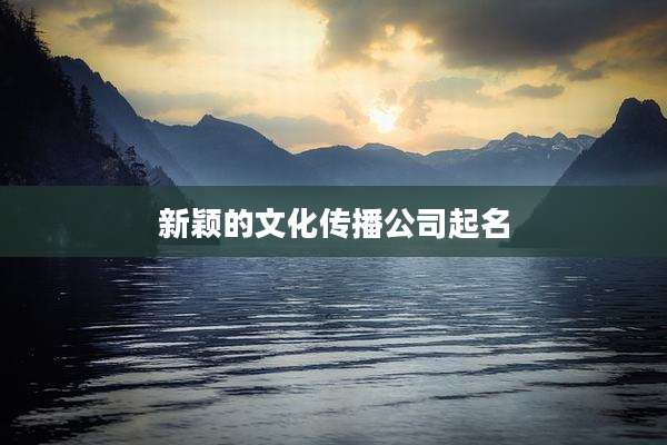新颖的文化传播公司起名