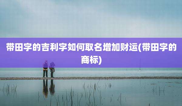 带田字的吉利字如何取名增加财运(带田字的商标)