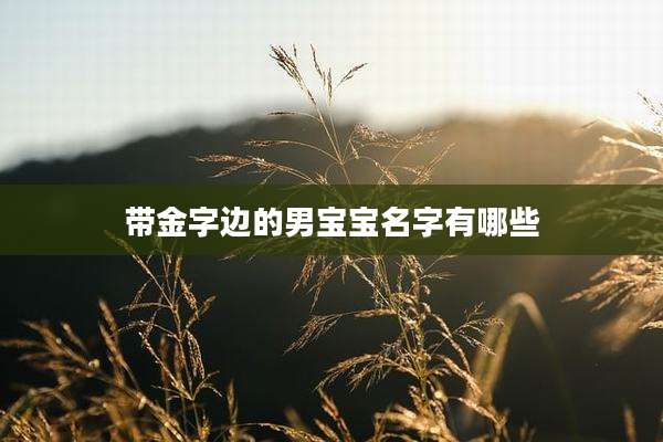 带金字边的男宝宝名字有哪些
