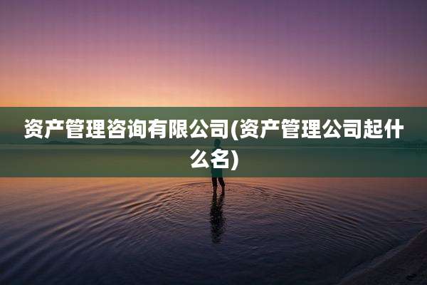 资产管理咨询有限公司(资产管理公司起什么名)