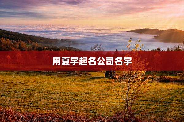 用夏字起名公司名字