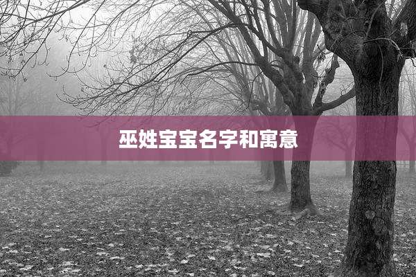 巫姓宝宝名字和寓意