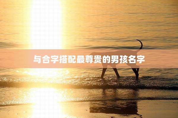 与合字搭配最尊贵的男孩名字