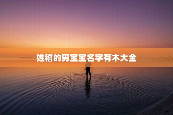 姓稽的男宝宝名字有木大全