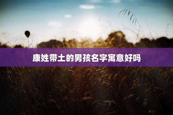 康姓带土的男孩名字寓意好吗