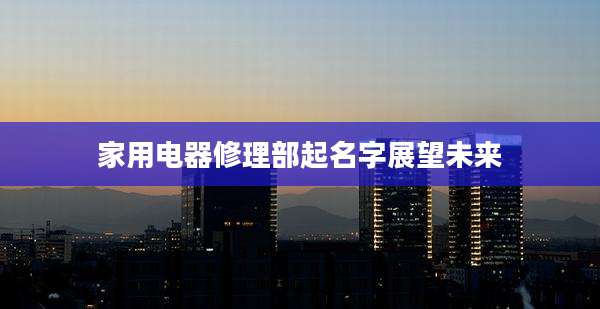 家用电器修理部起名字展望未来