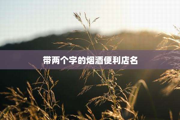 带两个字的烟酒便利店名