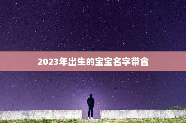 2023年出生的宝宝名字带含