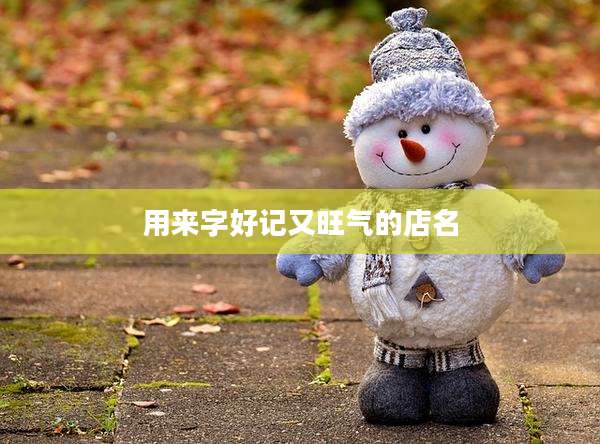 用来字好记又旺气的店名