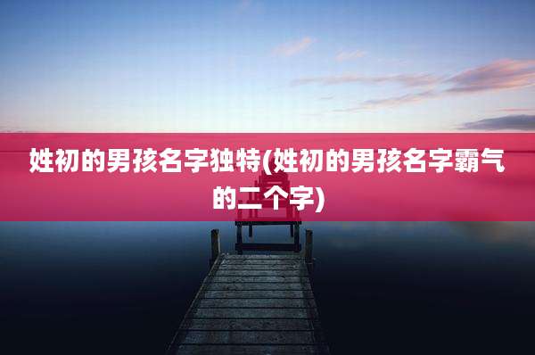 姓初的男孩名字独特(姓初的男孩名字霸气的二个字)