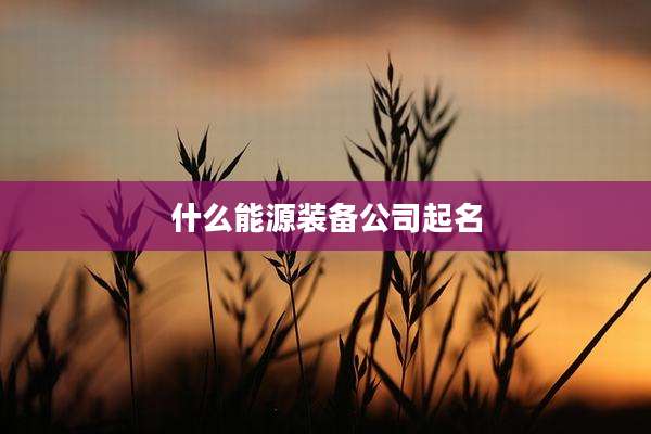 什么能源装备公司起名