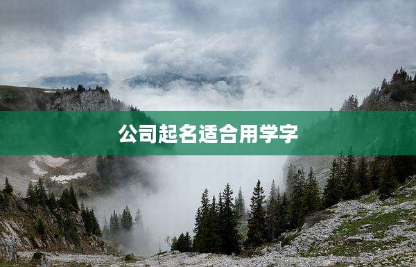 公司起名适合用学字