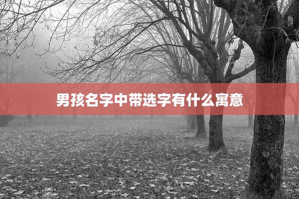 男孩名字中带选字有什么寓意
