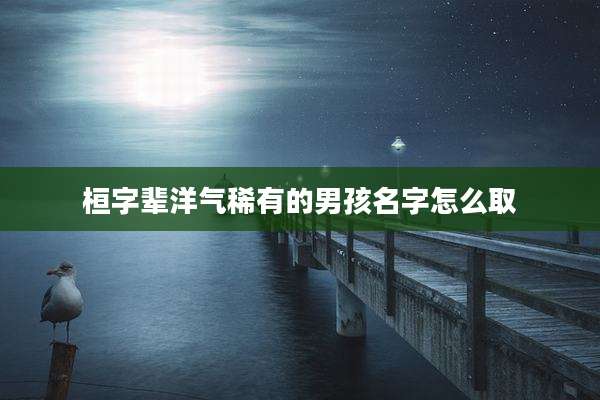桓字辈洋气稀有的男孩名字怎么取