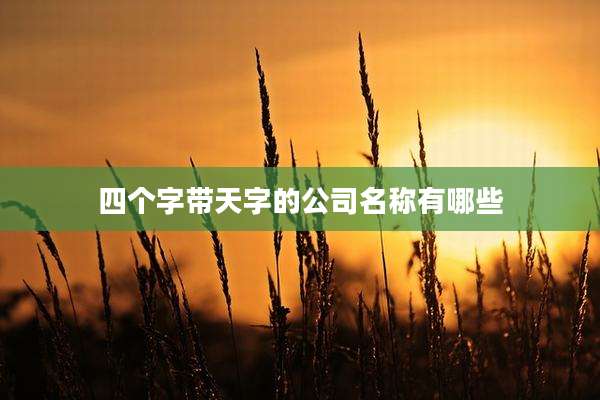四个字带天字的公司名称有哪些