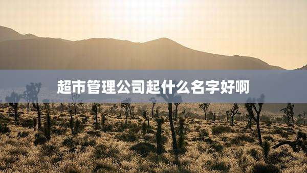 超市管理公司起什么名字好啊