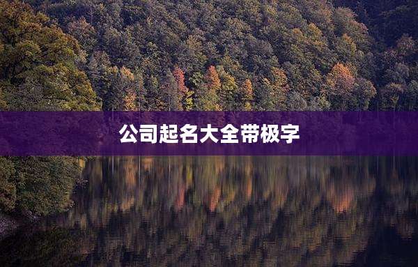 公司起名大全带极字