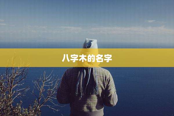 八字木的名字