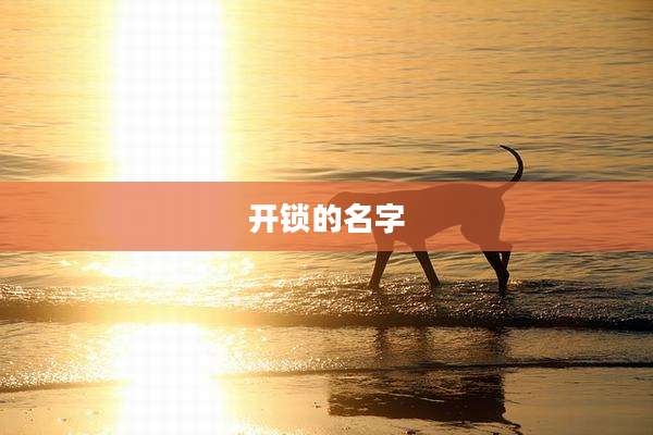 开锁的名字