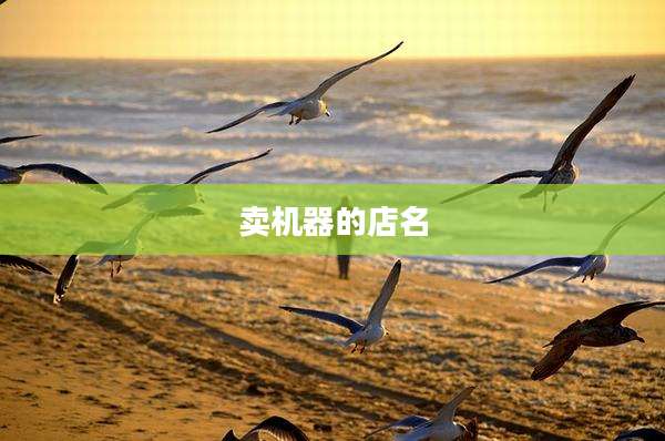 卖机器的店名