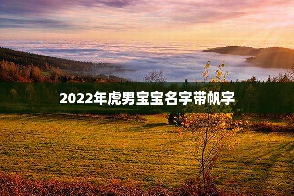 2022年虎男宝宝名字带帆字
