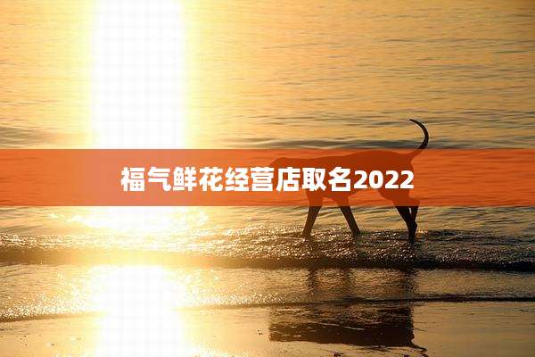 福气鲜花经营店取名2022