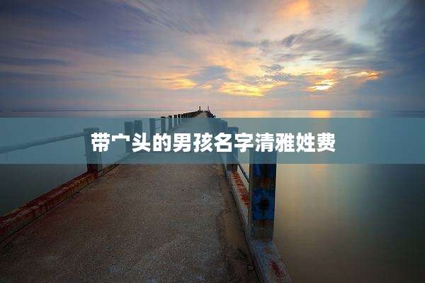 带宀头的男孩名字清雅姓费