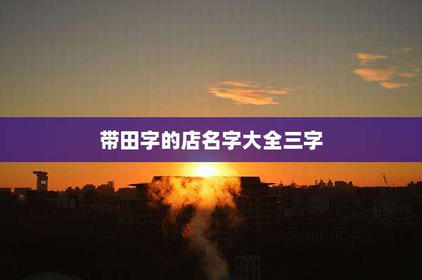 带田字的店名字大全三字