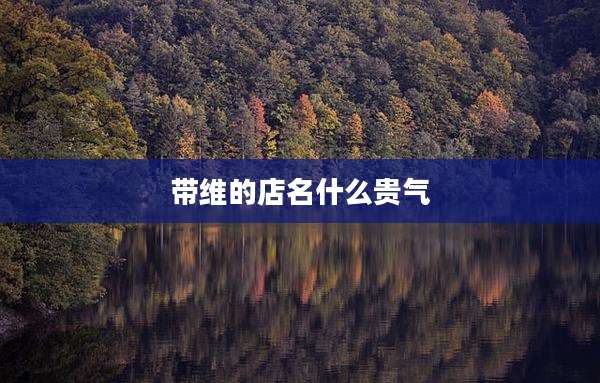 带维的店名什么贵气