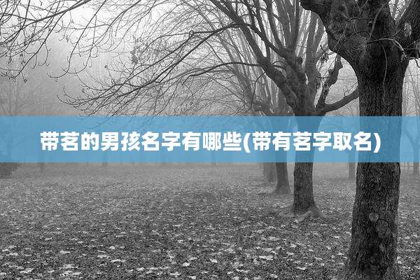 带茗的男孩名字有哪些(带有茗字取名)