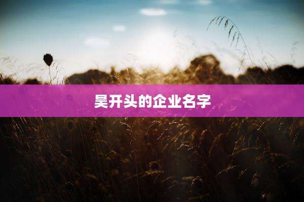 昊开头的企业名字