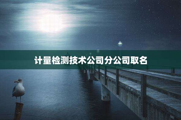计量检测技术公司分公司取名